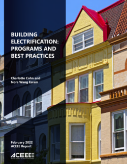Building Electrification: Programs and Best Practices